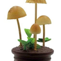 Mushroom Garden Blind Box Version 1