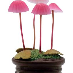 Mushroom Garden Blind Box Version 1