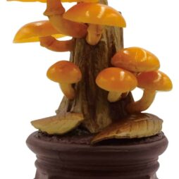 Mushroom Garden Blind Box Version 1