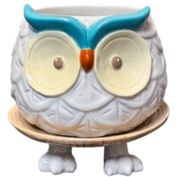 Hoots the Owl Footsie Planter