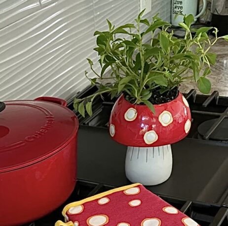 Mushroom Planter Medium